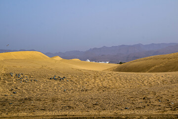 Obraz premium Walking on Maspalomas Beach, Gran Canaria