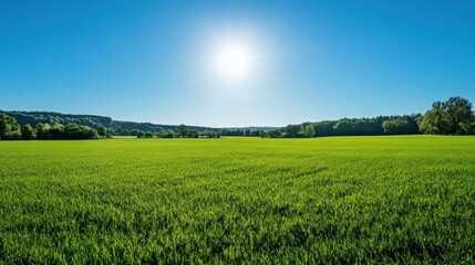 Obraz premium Lush green grass field under a bright blue sky with the sun shining.