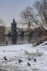 Charles bridge, Prague, Central Bohemia, Czech Republic