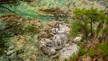 Scenic view of a rocky shoreline with trees and clear turquoise water