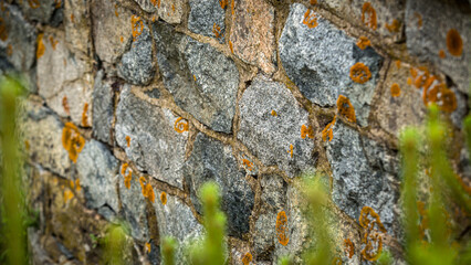 A detailed close up view of a stone wall featuring lichen growth