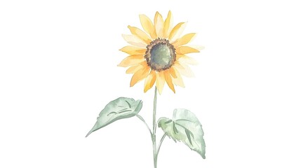 A single sunflower in watercolor, painted with bold, expressive strokes