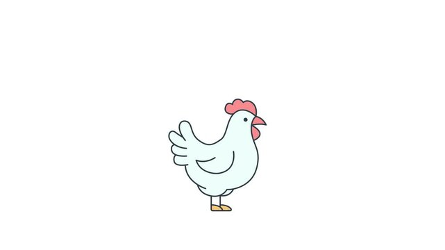 Animated of Chicken icon motion graphic animation. Animal concept icon animation