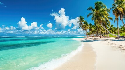 Naklejka premium Tranquil beach setting with palm trees and clear turquoise waters on a sunny day in a tropical paradise