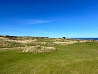 Golf Course, Nature, Grass