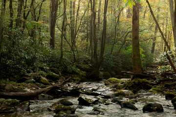 Obraz premium Oconaluftee River Great Smokey Mountains National Park 