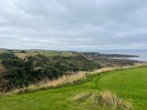 golf course. nature, golf, golf course, nature, grass, sky, field, landscape, green, meadow, summer, cloud, clouds, tree, blue, countryside, course, hill, view, spring, country, trees, mountain, lawn,