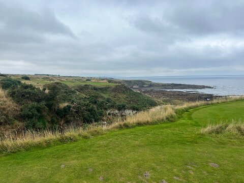 golf course. nature, golf, golf course, nature, grass, sky, field, landscape, green, meadow, summer, cloud, clouds, tree, blue, countryside, course, hill, view, spring, country, trees, mountain, lawn,