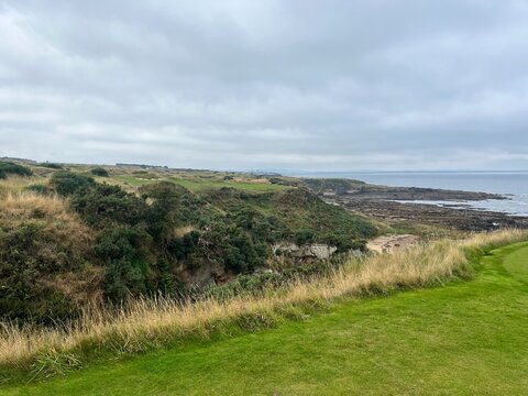 golf course. nature, golf, golf course, nature, grass, sky, field, landscape, green, meadow, summer, cloud, clouds, tree, blue, countryside, course, hill, view, spring, country, trees, mountain, lawn,