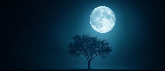  A solitary tree in the midnight hour, moon in splendid fullness above, star-studded sky overhead