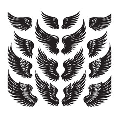 wings icon set Collection Vector illustration