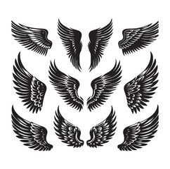wings icon set Collection Vector illustration