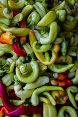 Washing and preparing green pepper, close shot