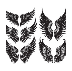 wings icon set Collection Vector illustration