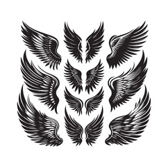 wings icon set Collection Vector illustration