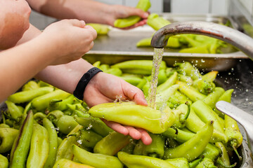 Washing and preparing green pepper, close shot