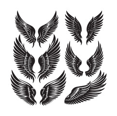 wings icon set Collection Vector illustration