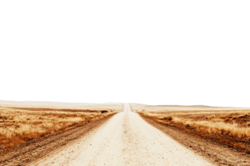 A desolate dirt road vanishing into the horizon under a green sky.