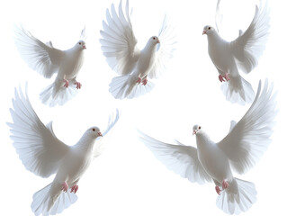 Obraz premium Five white doves in mid-flight on white background PNG transparent.