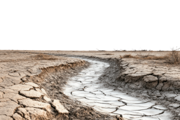 A dried and cracked earth landscape with a white clay path.