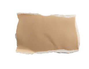 Obraz premium Papier riss isoliert auf weißen Hintergrund, Freisteller
