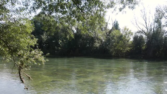 Flying by tree revealing A peaceful river Kolpa flowing through forest, sunlight glistening on the water and overhanging trees providing shade. Perfect for nature, serenity, outdoor exploration them.