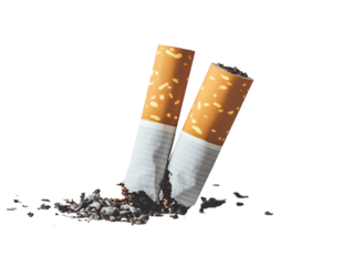 Cigarette broken on white background PNG transparent.