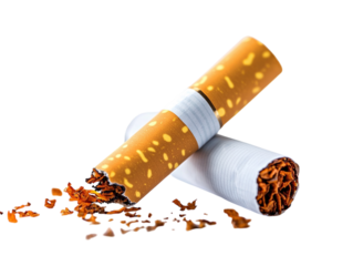Cigarette broken on white background PNG transparent.