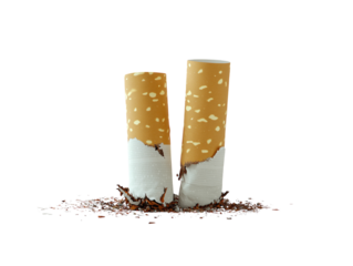 Cigarette broken on white background PNG transparent.