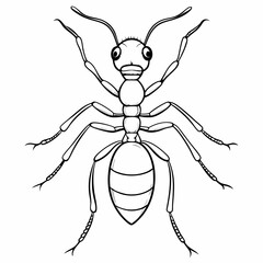 Ant illustration, detailed style, black and white