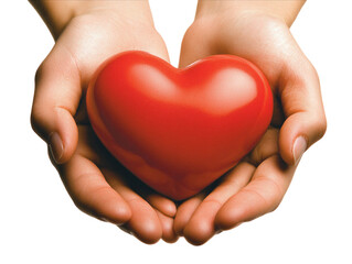 Fototapeta premium Hands holding a red heart on white background PNG transparent.