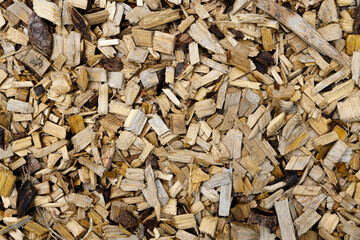 A variety of natural wood chips covers the ground, providing texture and warmth to the outdoor environment.