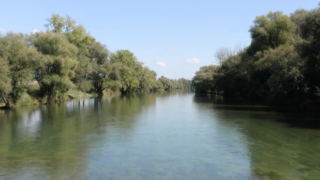 Flying above calm river Kolpa flows through dense green trees, reflecting the bright blue sky and surrounding foliage. The water is serene, making for a tranquil nature scene.