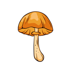 Autumn Skullcap mushroom with an orange brown cap and slender stem in cartoon. Ideal for nature project, foraging guide and educational materials about mushrooms isolated on a white background.