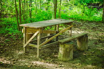 vintage old wood table with chairs in forest and garden