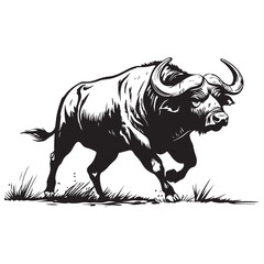 Mascot of running angry buffalo, Clean Black and white Vector silhouette of a Buffalo