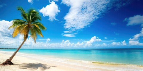 Fototapeta premium Scenic coral beach with palm tree summer sky landscape.