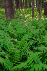 Owner, Hank Erdmann Photography