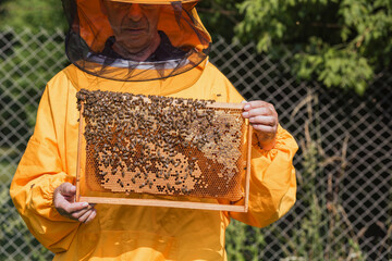 Beekeeper in yellow protective gear holding hive frame with honeycomb, showing capped honey and brood cells