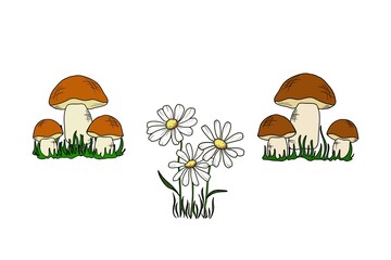 Set hand drawn sketch illustration mushrooms and daisy flowers in the grass	