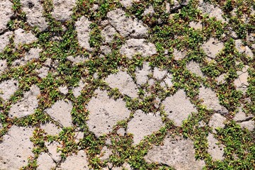a stone paved footpath, grass growing through the cracks and seams between the stones
