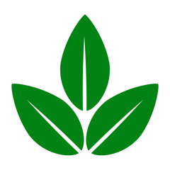 shape collection different green leaves of tree, plants, leaf and swirls branches. Stock vector icon, isolated white background. Element for ecographic, natural design, vegan logo, bio labels