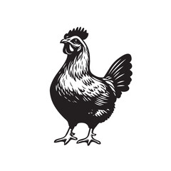 chicken vector icon logo black design simple flat style template on white background