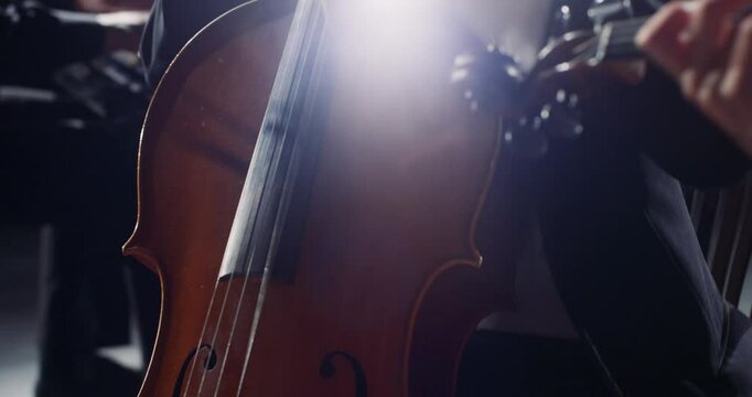 Enjoy an enchanting orchestral performance with talented musicians playing beautiful string music