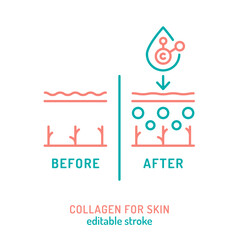 Collagen for skin line icon. Connective tissue protein pictogram.