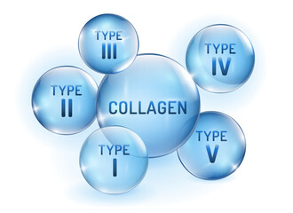 Collagen types transparent infographic. Connective tissue protein.