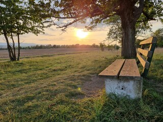 Bank im Sonnenuntergang bei Osterwieck im Harz (unterhalb des Bismarckturm) in Sachsen-Anhalt