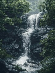 Serene Forest Waterfall