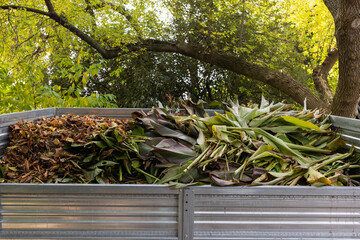 Garden pickup truck with Autumn Leaves in Autumn Park Under Tree Shade © Agata25