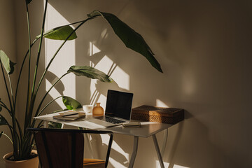 Home workspace with stationery, laptop and tropical plant in a bright, airy room with aesthetic wam...